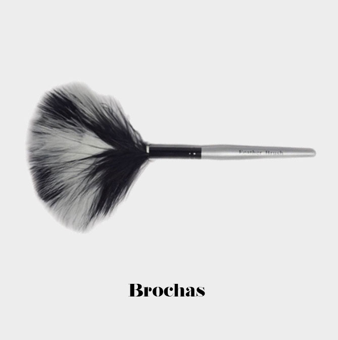 Pasarela Cosmetics